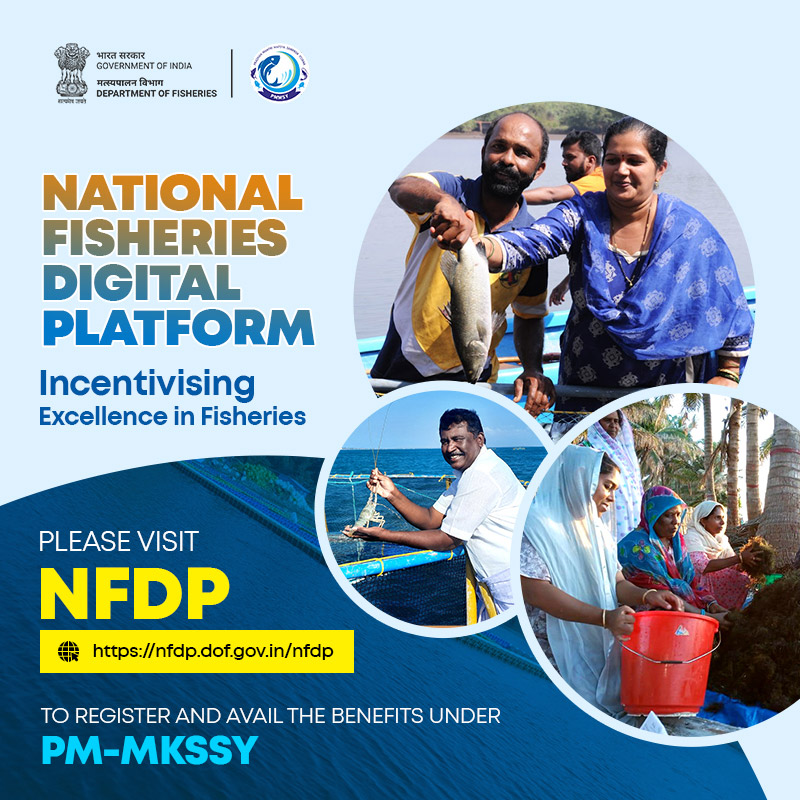 National Fisheries Digital Platform